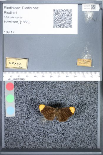 Media type: image;   Entomology 75525